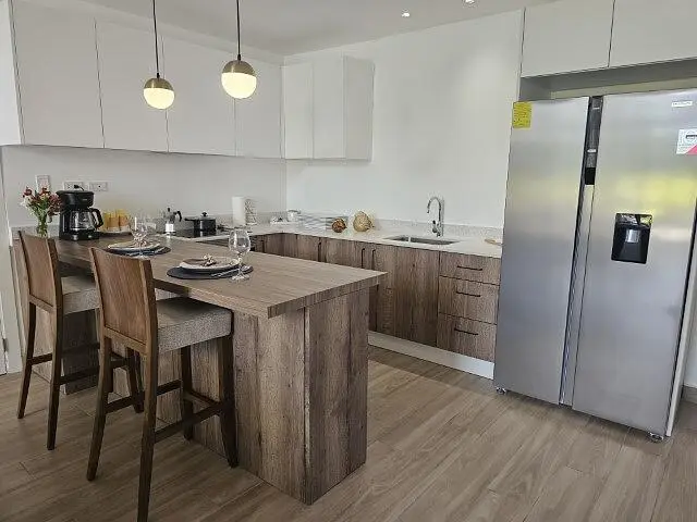 Kuhinja; kuhinjski aparati, prirodno svjetlo, moderni stil