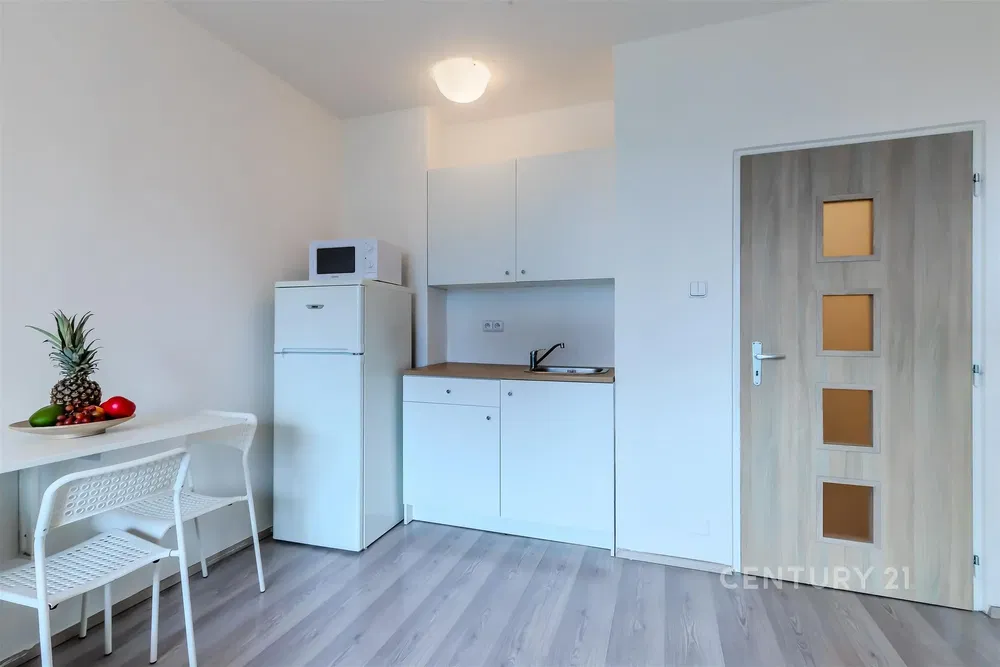 Kuchyně; kuchyňské spotřebiče, moderní styl, dlažba