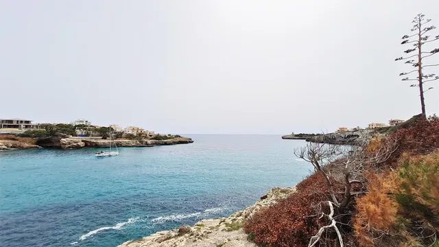 Dom i otoczenie; widok