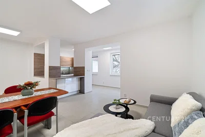 Дневна соба; природно светло, модерни стил