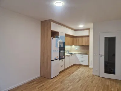 Küche; küchengeräte, holzboden, renoviert, tageslicht
