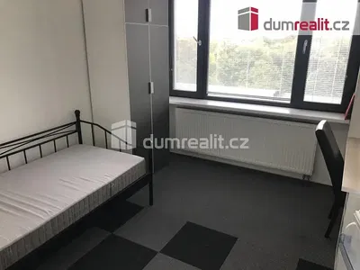 غرفة نوم; ضوء طبيعي