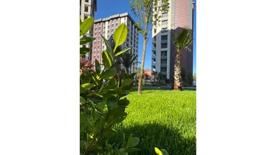 غرفة معيشة