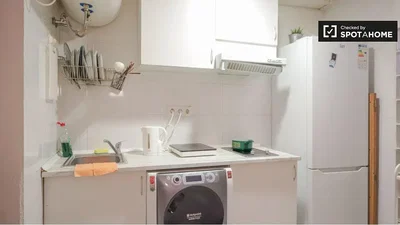 Cucina; elettrodomestici, pavimento in piastrelle, ristrutturato, luce naturale