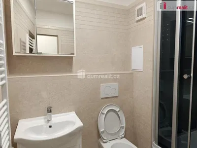 Toilette; fliesenboden, renoviert, tageslicht, moderner stil