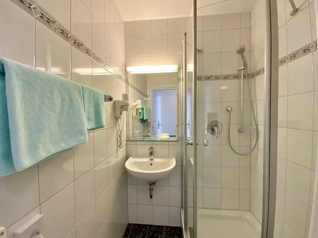 Salle de bain; carrelage, lumière naturelle, rénové