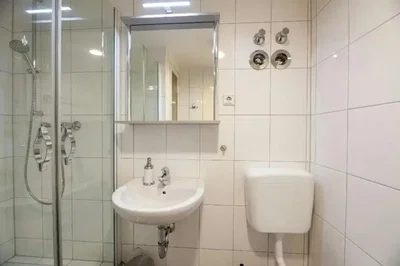 Salle de bain; carrelage, rénové, lumière naturelle