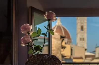غرفة معيشة