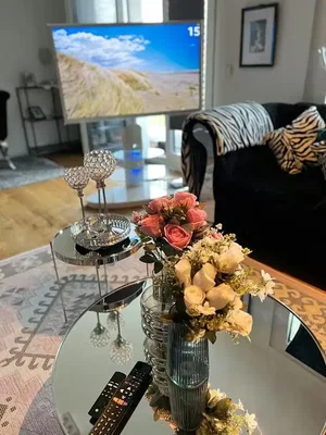 غرفة معيشة