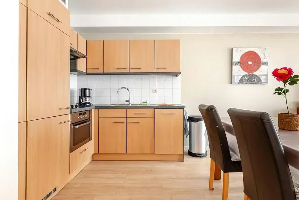 Cucina; elettrodomestici, luce naturale, stile moderno