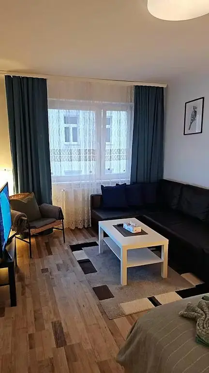 Dnevni boravak; drveni pod, prirodna svjetlost