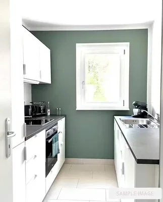 Kuhinja; kuhinjski aparati, prirodno svjetlo, moderni stil