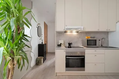 Küche; küchengeräte, tageslicht, moderner stil