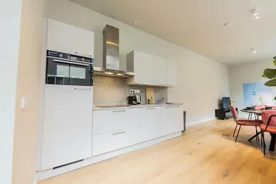 Cuisine; électroménager, parquet, lumière naturelle, style moderne