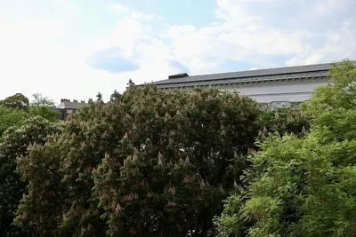 Ev ve çevresi; manzara, doğal ışık