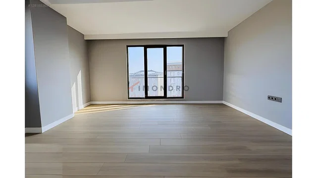 Хол