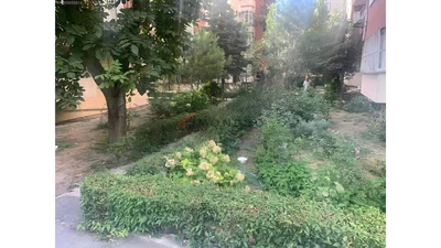 غرفة معيشة