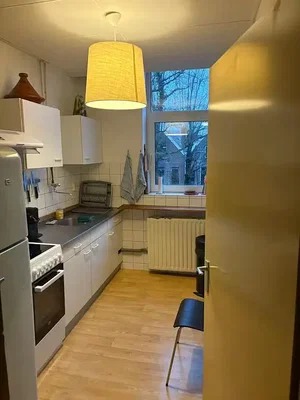 Cuisine; électroménager, lumière naturelle, vue