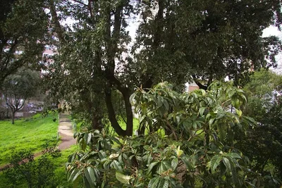 Oturma odası
