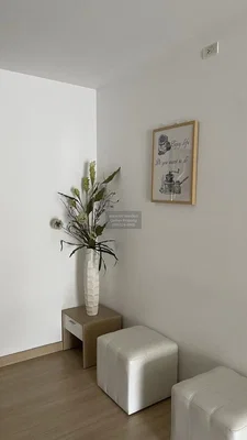 Σαλόνι