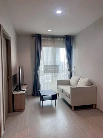 Living room; view, natural light