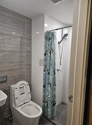 Toilettes; carrelage, lumière naturelle