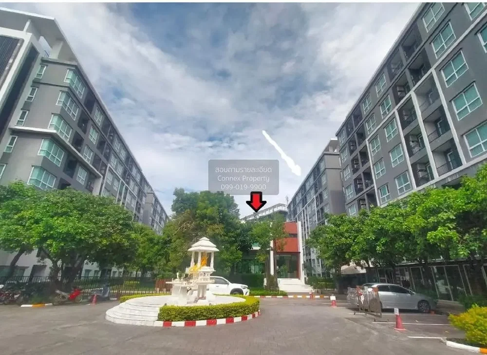 Кућа и околина; поглед