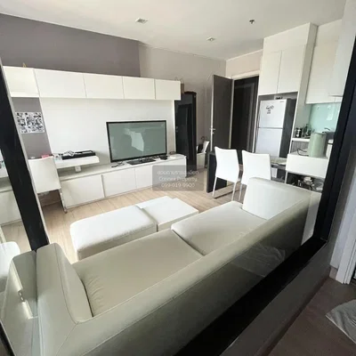 Wohnzimmer; moderner stil, tageslicht