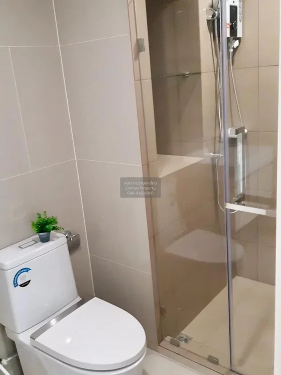 WC; talne ploščice, naravna svetloba, po prenovi