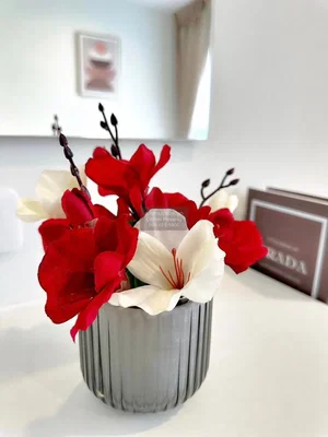 غرفة معيشة