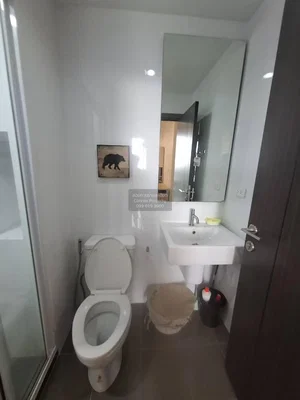 Хол