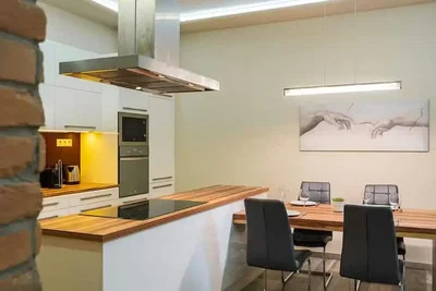Kuchyně; kuchyňské spotřebiče, přirozené světlo, moderní styl
