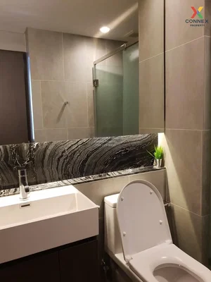 Toilettes; carrelage, rénové, lumière naturelle, style moderne