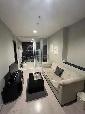 Wohnzimmer; blick, tageslicht, moderner stil