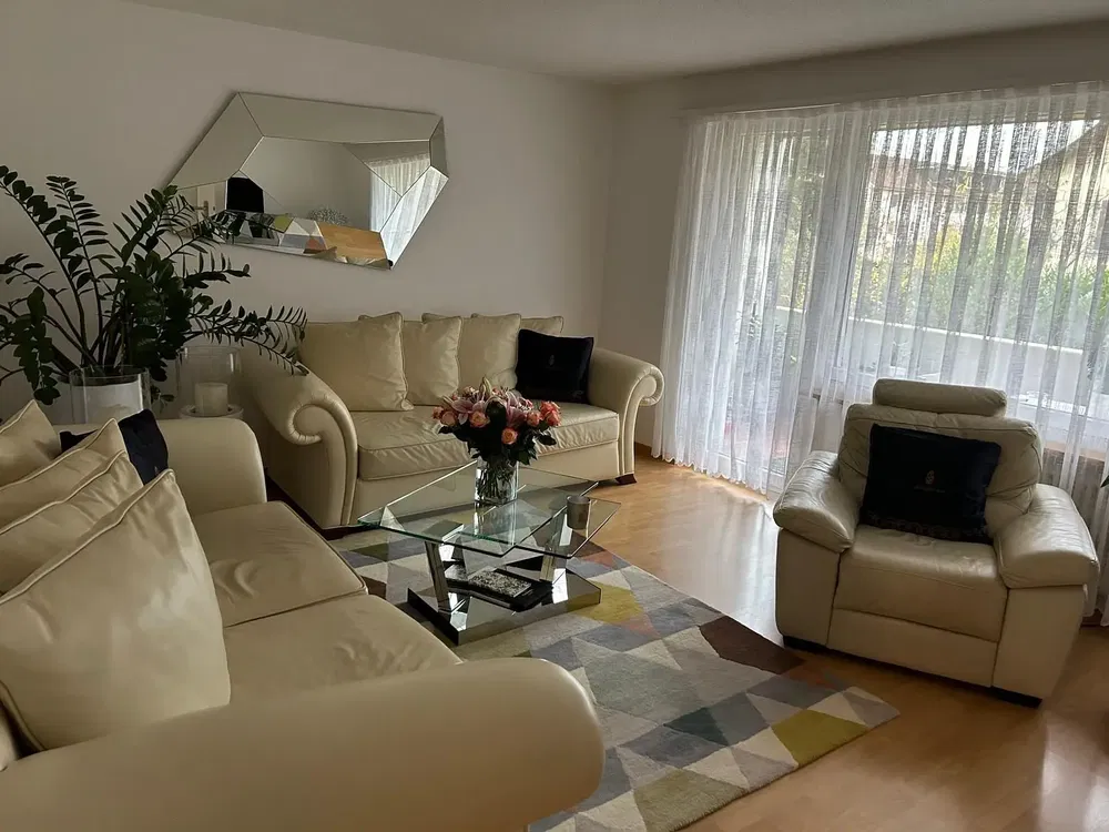 Wohnzimmer; tageslicht, moderner stil