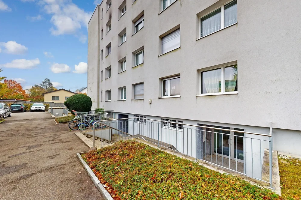 المنزل والمناطق المحيطة