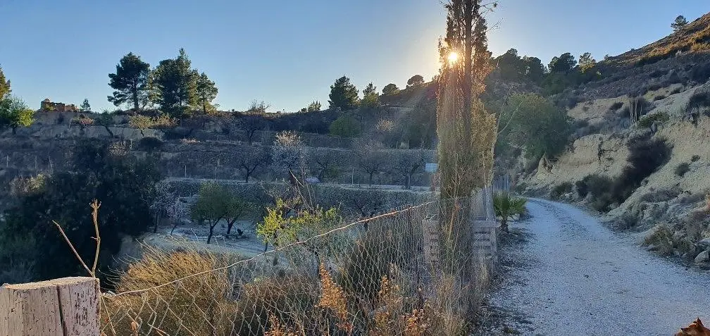Άλλο