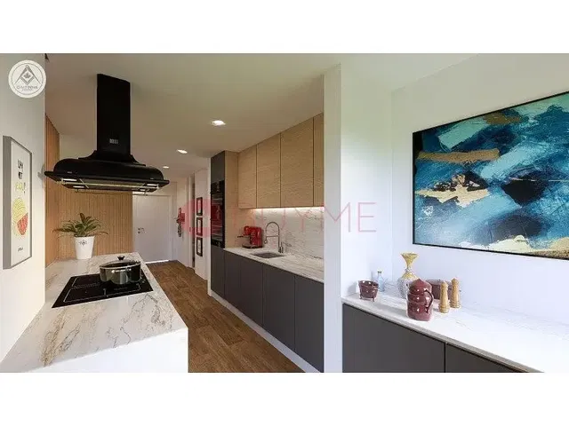 Cuisine; électroménager, lumière naturelle, style moderne