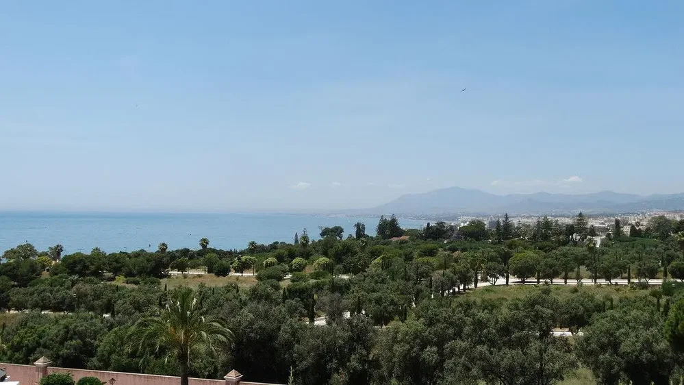 Diğer