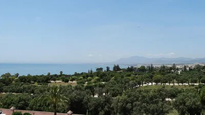 Diğer