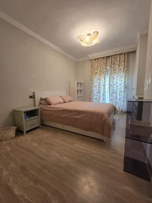 Diğer