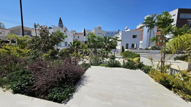 المنزل والمناطق المحيطة; ضوء طبيعي, أرضية من البلاط