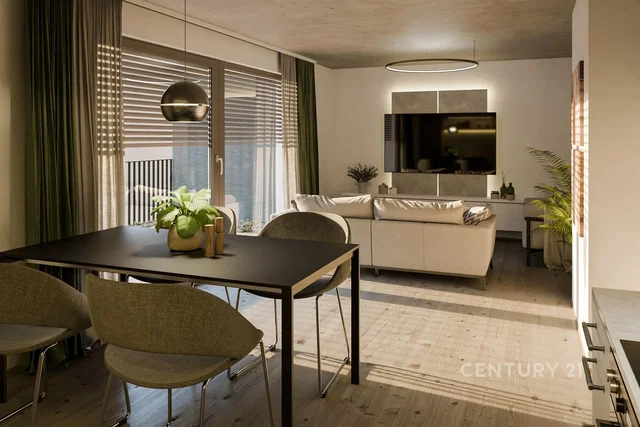 Living room; natural light, modern style, wood floor