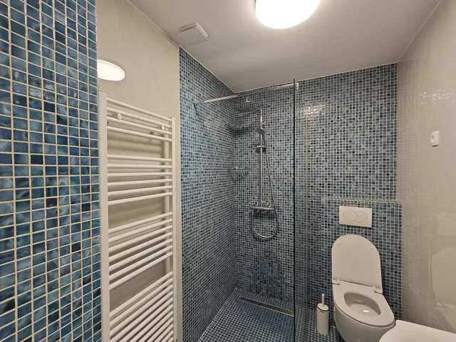 Badkamer; tegelvloer, gerenoveerd, natuurlijk licht, moderne stijl