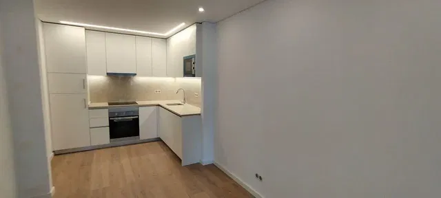 Kitchen; kitchen appliances, natural light, modern style, wood floor, renovated