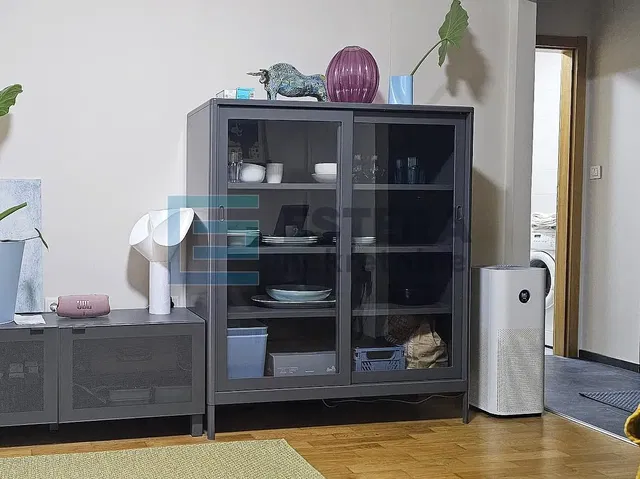 Хол; дървен под, естествена светлина