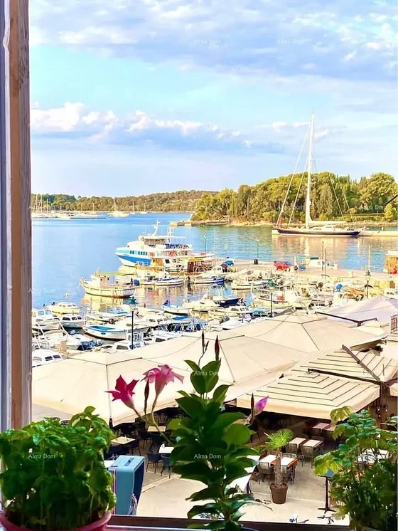 Остало; поглед