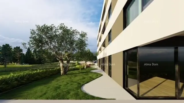 Кућа и околина; поглед