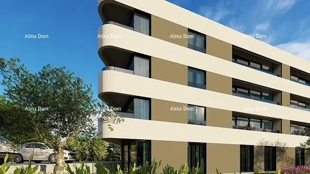 Кућа и околина; поглед