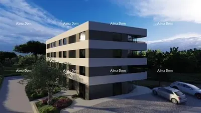 Haus und umgebung; blick